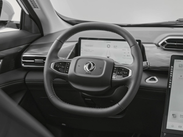 Dongfeng Mage, I фото №11