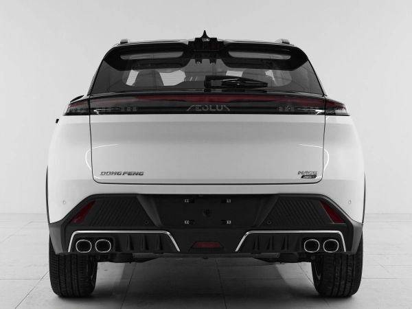 Dongfeng Mage, I фото №5