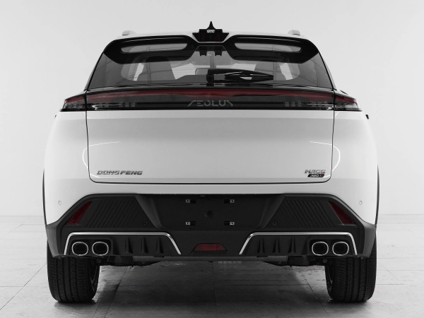 Dongfeng Mage, I фото №5