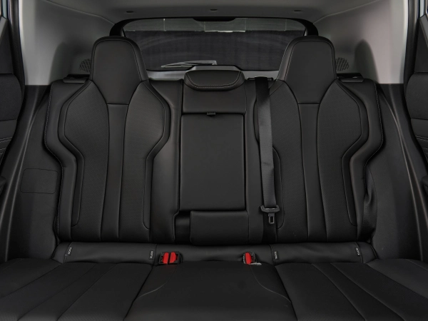 Dongfeng Mage, I фото №17