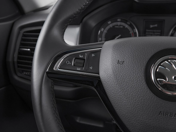 Skoda Kodiaq, I фото №10