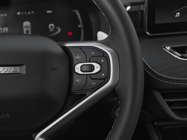 Haval Jolion, I фото №11