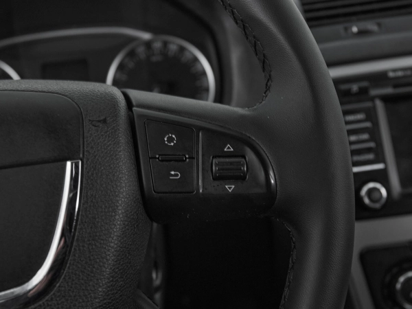 Skoda Octavia, II (A5) Рестайлинг фото №12