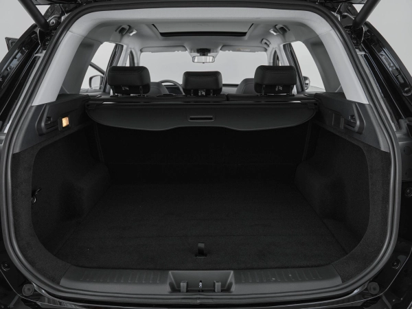 Chery Tiggo 7 Pro Max, I фото №25