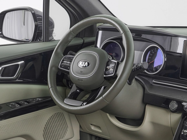 Kia Carnival, IV фото №10