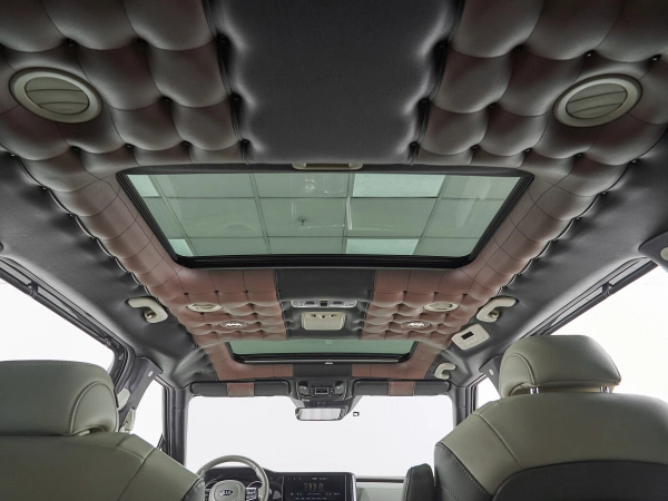 Kia Carnival, IV фото №19