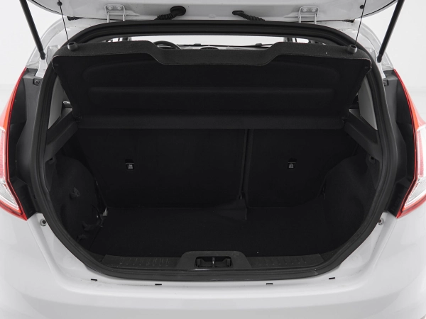 Ford Fiesta, Mk6 Рестайлинг фото №19
