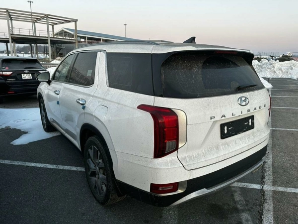 Hyundai Palisade, I фото №4