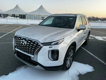 Hyundai Palisade, I 2018  фото