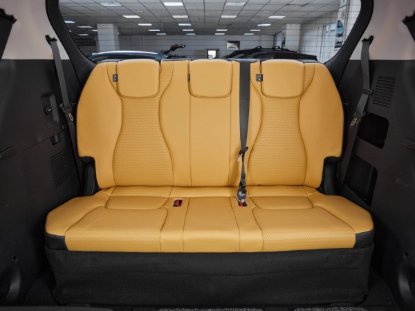 Kia Carnival, IV фото №10
