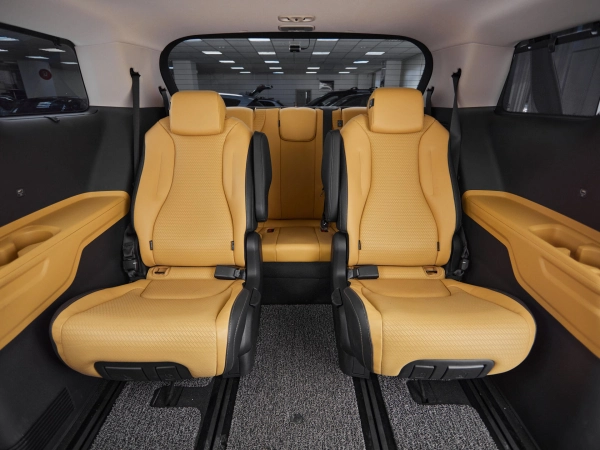 Kia Carnival, IV фото №11