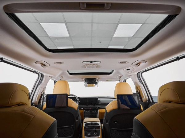 Kia Carnival, IV фото №15