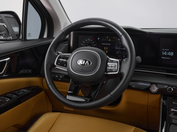 Kia Carnival, IV фото №27