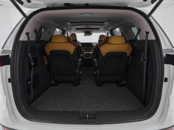 Kia Carnival, IV фото №38