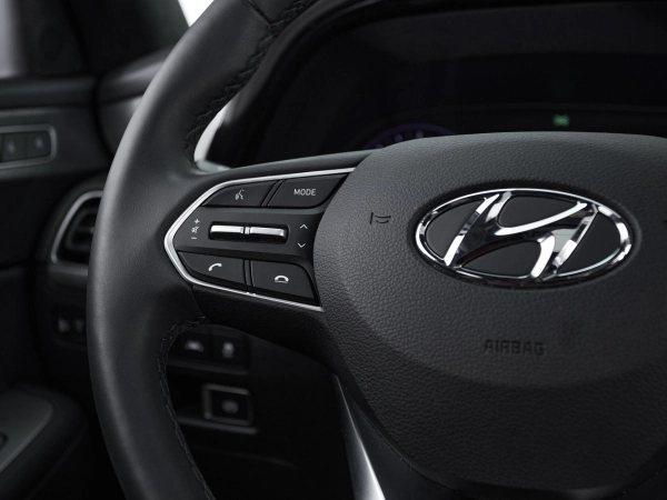 Hyundai Palisade, I фото №26