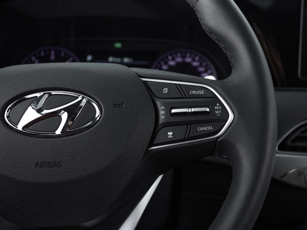 Hyundai Palisade, I фото №27