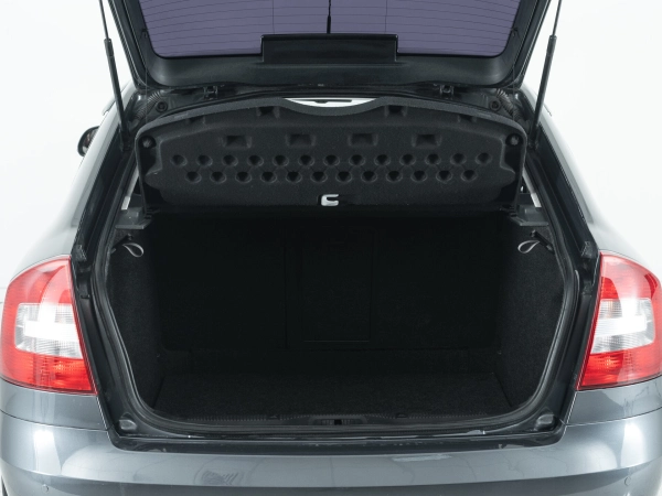 Skoda Octavia, II (A5) Рестайлинг фото №7