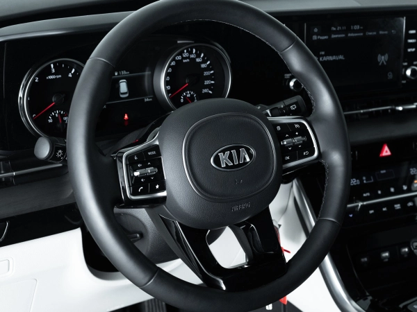 Kia Carnival, IV фото №14