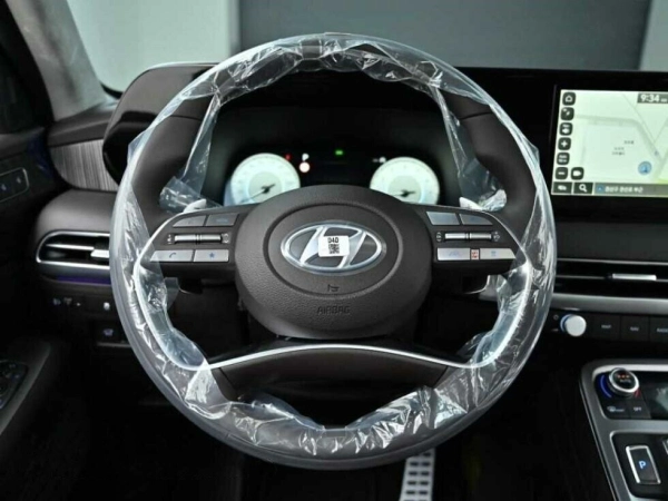 Hyundai Palisade, I фото №10