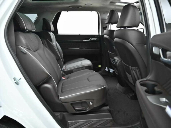 Hyundai Palisade, I фото №15