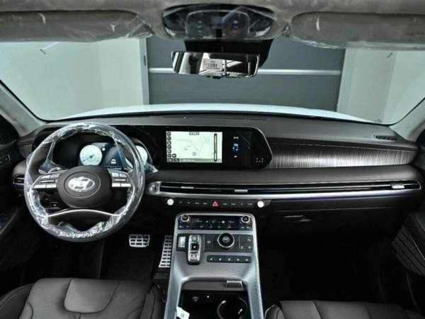Hyundai Palisade, I фото №6