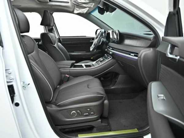 Hyundai Palisade, I фото №8