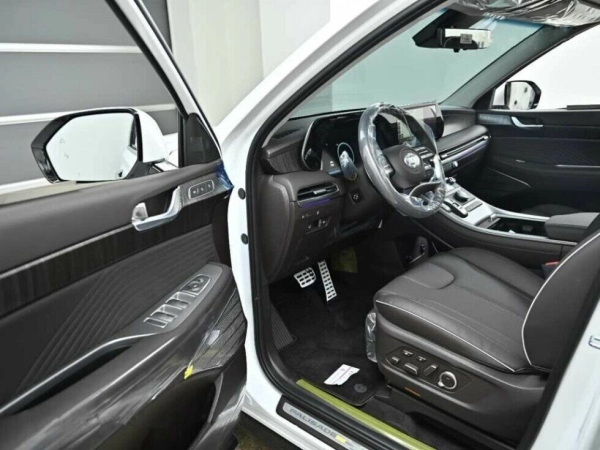 Hyundai Palisade, I фото №9