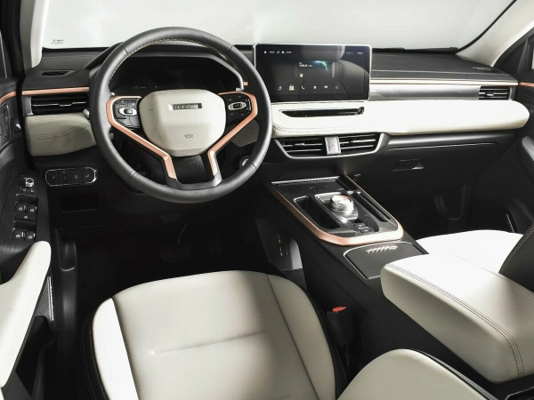 Haval Jolion, I фото №6