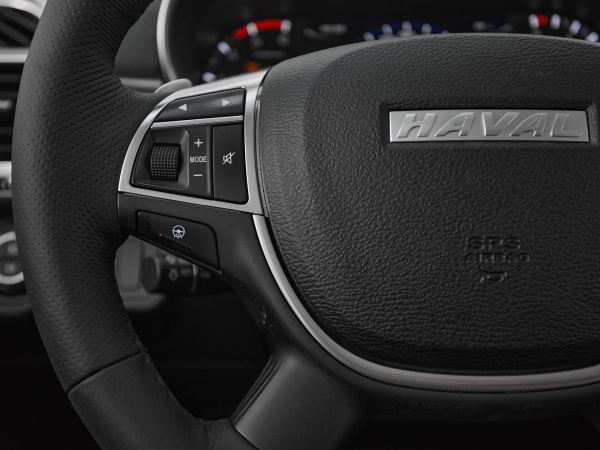 Haval H9, I Рестайлинг фото №11