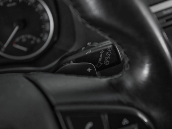 Skoda Octavia, II (A5) Рестайлинг фото №14