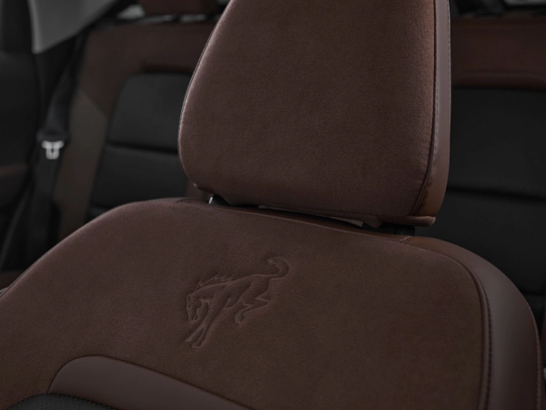 Ford Bronco Sport, I фото №25