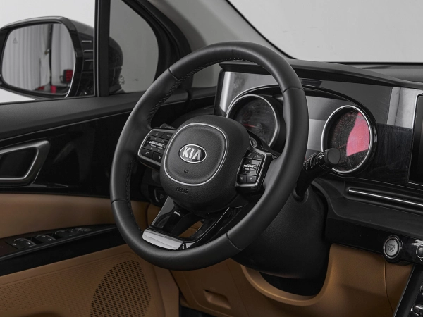 Kia Carnival, IV фото №10