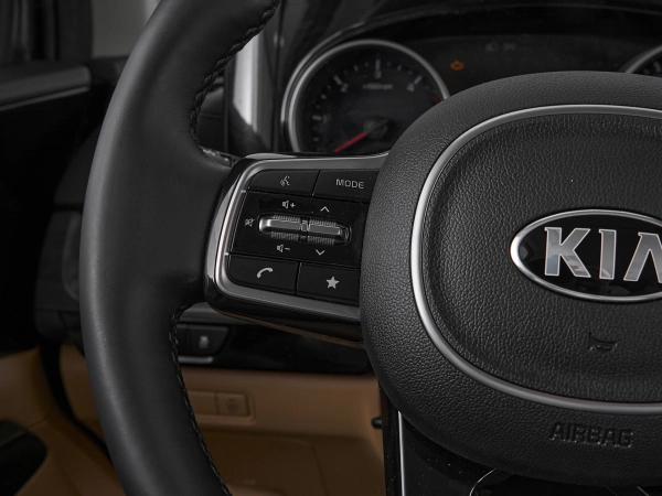 Kia Carnival, IV фото №11
