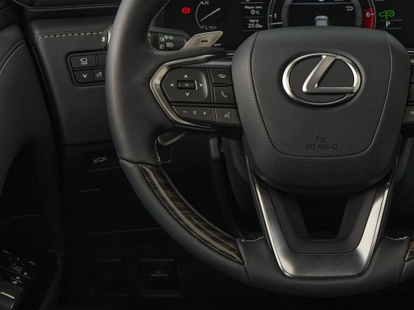 Lexus LX, IV фото №13