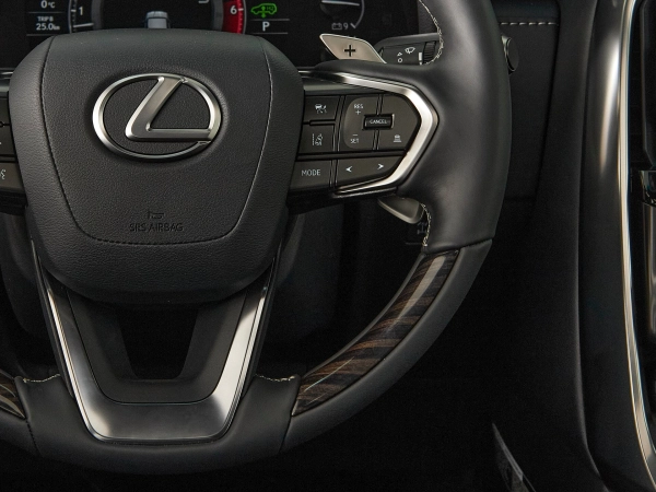 Lexus LX, IV фото №14