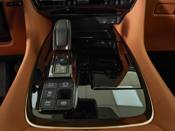Toyota Alphard, IV фото №24
