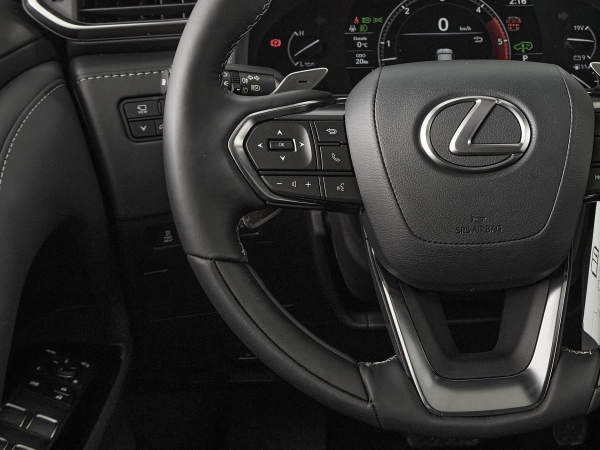 Lexus LX, IV фото №12