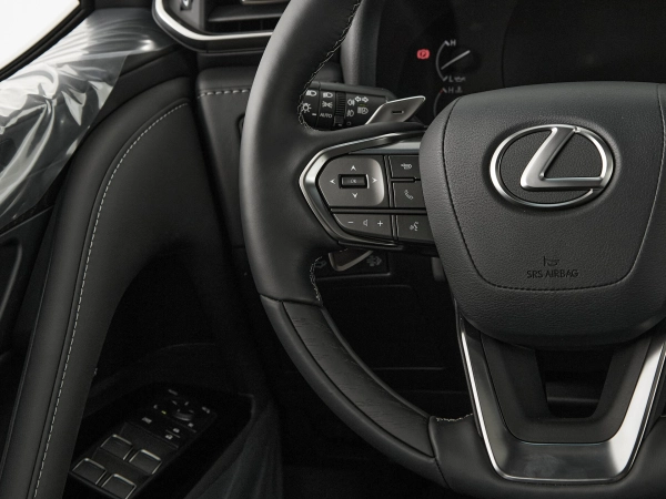 Lexus LX, IV фото №11
