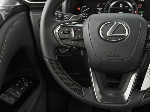 Lexus LX, IV фото №12