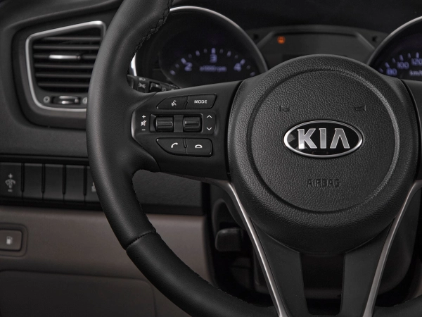 Kia Carnival, III фото №11