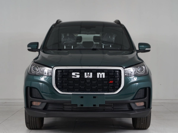 SWM G05 Pro, I фото №2
