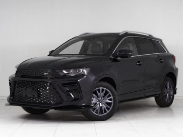 SWM G01F, I 2024 Smart фото
