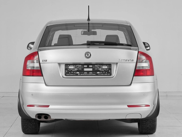 Skoda Octavia, II (A5) Рестайлинг фото №5