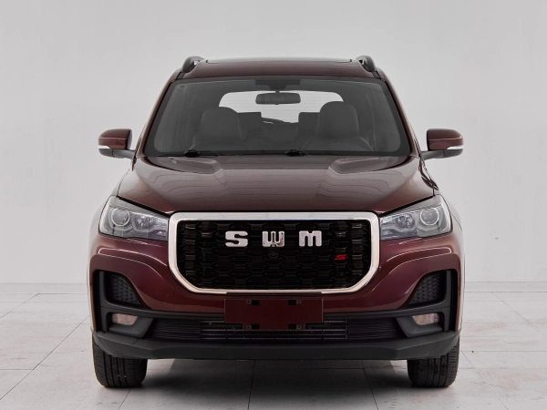 SWM G05 Pro, I фото №2