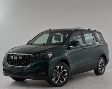 SWM G05 Pro, I 2024 Family 1 фото