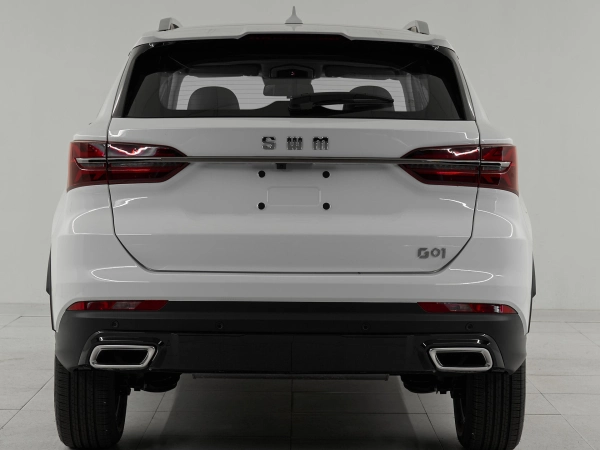 SWM G01, I фото №5