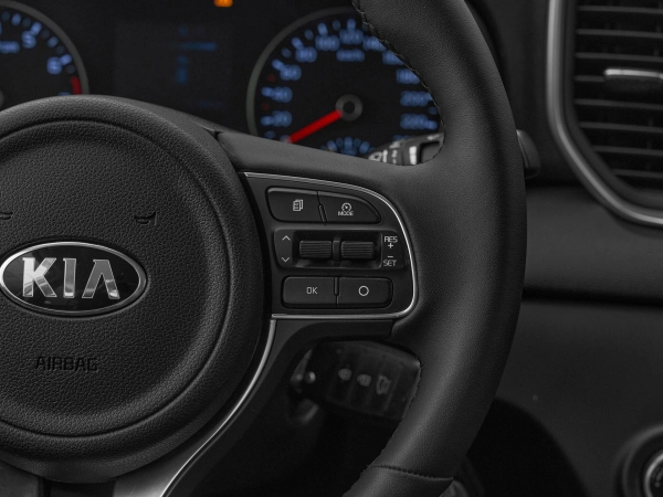 Kia Sportage, IV фото №12