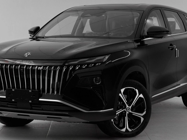 Dongfeng Huge, I фото №1