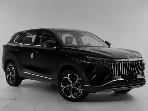 Dongfeng Huge, I фото №3