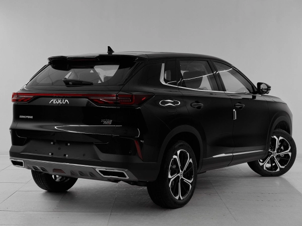Dongfeng Huge, I фото №6